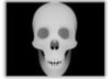 create 3pcs of 3d optical illusion that contains your name,favorite number,picture and different image on it. small2