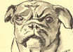 create a small painting of your Pug from your photo small2