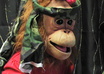as ventriloquist or Ribbons the Clown  or with my puppet sing Happy Birthday to you terribly small2