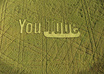 turn your logo/text into a crop circle small2
