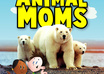 design the cover for your Childrens Book small2
