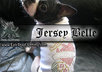 have my dogs model or test your product small2