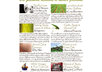 send you an exclusive collection of 14 health, household, gardening, fishing, hunting and automotive secrets on 2 water resistant, pocket sized, Home Remedy quick reference cards small2