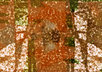 make an abstract desktop pattern or wallpaper image any resolution small2