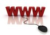 research online and providing the most detailed information on your chosen topic small2
