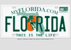 create 2pcs Novelty Customized MIAMI License Plate with your name/ company name small2