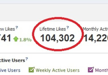 show you the SECRET to getting 500 to 1000 facebook fans per day big2
