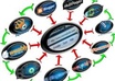 create a 10 Spokes LINKWHEEL Having Page Rank 6 to 8 Sites and then Create 15 Bookmarks on Them Dominate The First Page of Any Search Engine small2