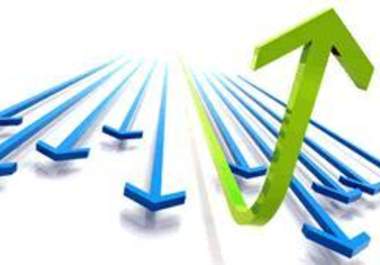 generate On and Off Site Optimization Report with Website Auditor big2