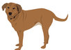 cartoonize your face small2
