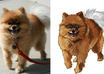 manually draw you and transform you into a cartoon small2