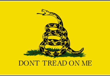 send you a Large Gadsden Tea Party Rattlesnake Flag Jerzees Tee big2