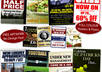 design a flyer or poster in super high quality small2