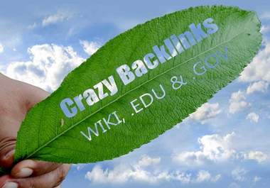 provide crazy but amazing seo service ever on fiverr big2