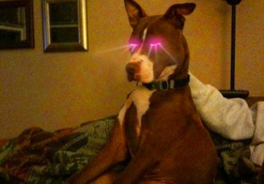 add Laser Eyes to any photo you want updated with laser eyes big2