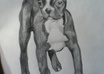 draw a photo realistic portrait of your pet small2