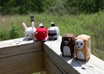 make you a cubecritter small2