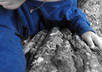 color selection on two photos of your choice within 24 hours small2