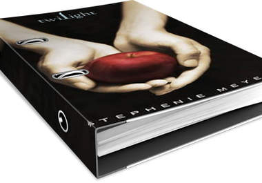 make a professional looking eBook cover big2