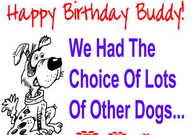 create A Personalised Video For Your Dogs Birthday big2