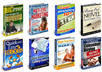 design professional looking ebook or novel covers only small2