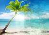 create a sketchy painting from one of your digital images small2
