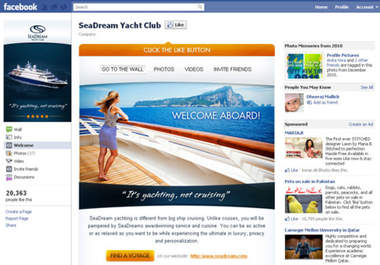 create Professional Facebook Fanpage Landing Page with Fans and Non Fans Featured Content to promote your Company or Website big2