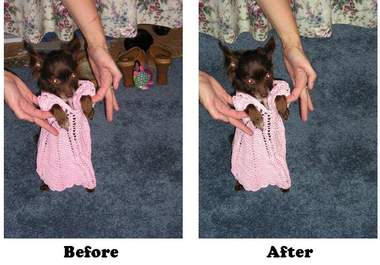 remove or change the background from your photo big2