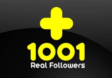 add 1001+ real followers to your twitter account big2
