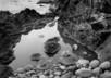 expertly turn up to 10 of your color photos into black and white small2