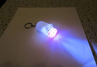 make you smile when you get this Mini Pig 2 LEDs Flashlight with FREE shipping Worldwide Only big2