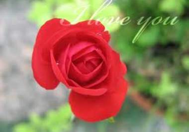 create beautiful eCard for You to send your family, friends, and lover big2