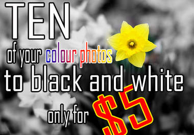 make TEN of your photos black and white big2