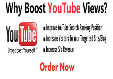 provide you 1500 plus FAST Youtube Video Views big2