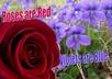 write a poem for you about anything small2
