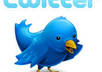 give you 100 real TWITTER followers to your account within 48 hours small2