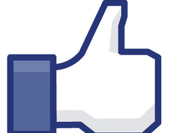 give you 100 FACEBOOK Likes from real human users within 48 hours big2