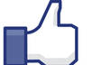 give you 100 FACEBOOK Likes from real human users within 48 hours small2