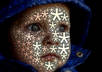 turn a photo of your face into millions of stars small2