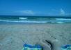 write your message in a bottle and toss it into the ocean small2