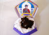 send Blueprints to print your own Harry Potter Chocolate Frog box and Cards small2