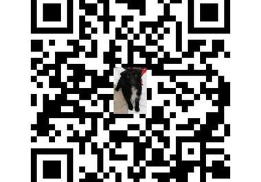 alt_text.html_safe