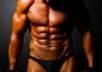 give you a Body Building  Turnkey Website Business W Clickbank Amazon Adsense Wordpress, loaded with 20  articles, Autopilot Income small2