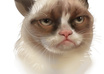 create a digital painting of your pet small2