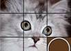 stick visitors of your blog longer by creating an stylish image sliding puzzle of your image or of your favourite celebrity image small2