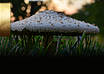 give you 5 amazing Twitter backgrounds small2