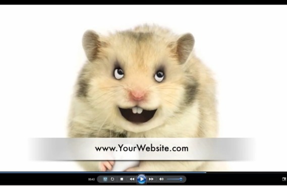 alt_text.html_safe