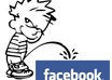 promote you by 50 permanent facebook fans or subscribers or friend request or vo small3