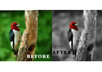 make this cool photo effect from your existing color picture small3