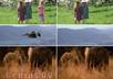 edit , fix or remove any part from your photo small3